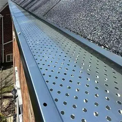 Professional perforated aluminum gutter guards installed on a Victoria BC home