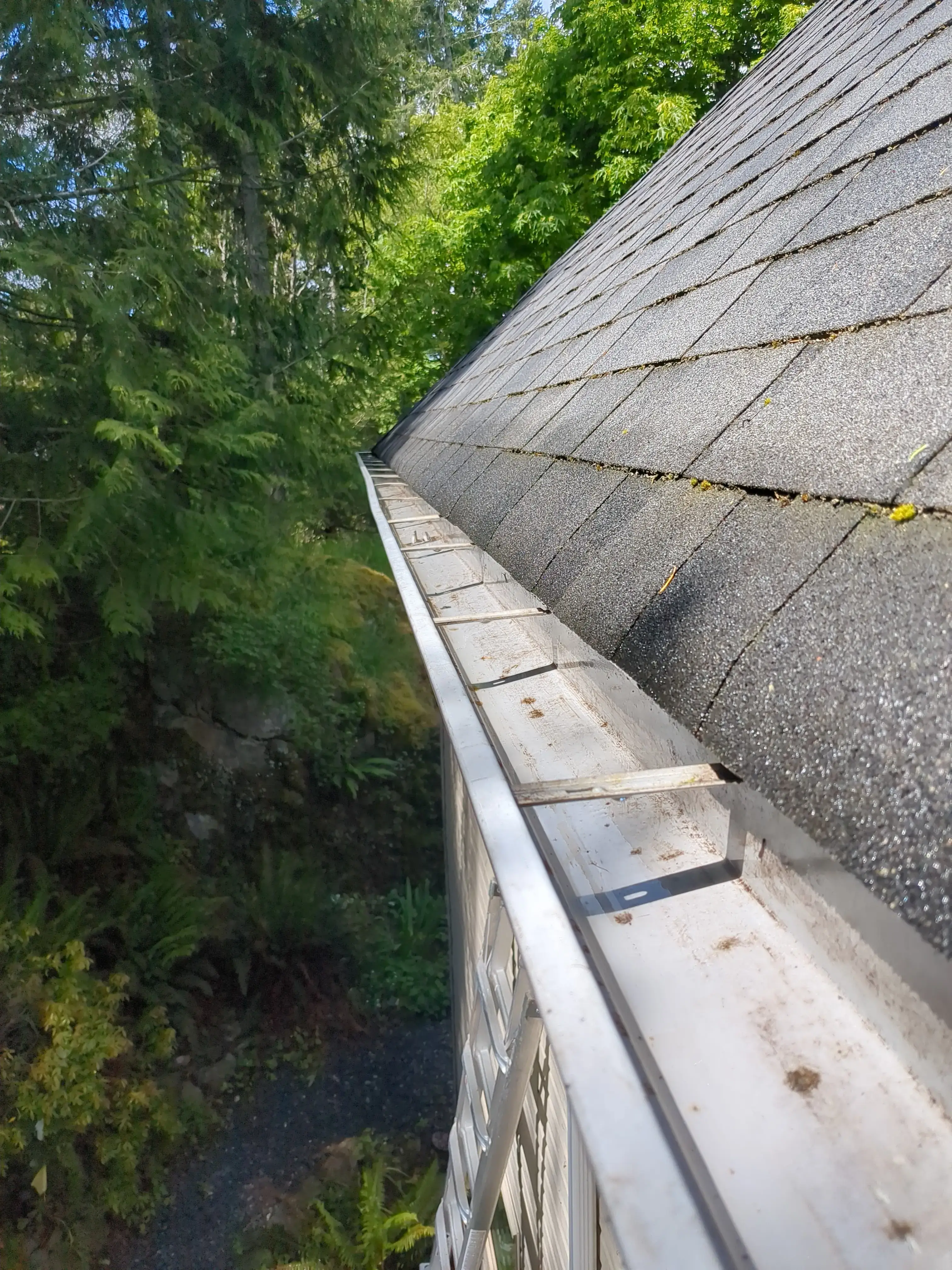 Gutter after cleaning