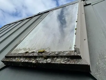 Professional Window Cleaning Services in Victoria, BC