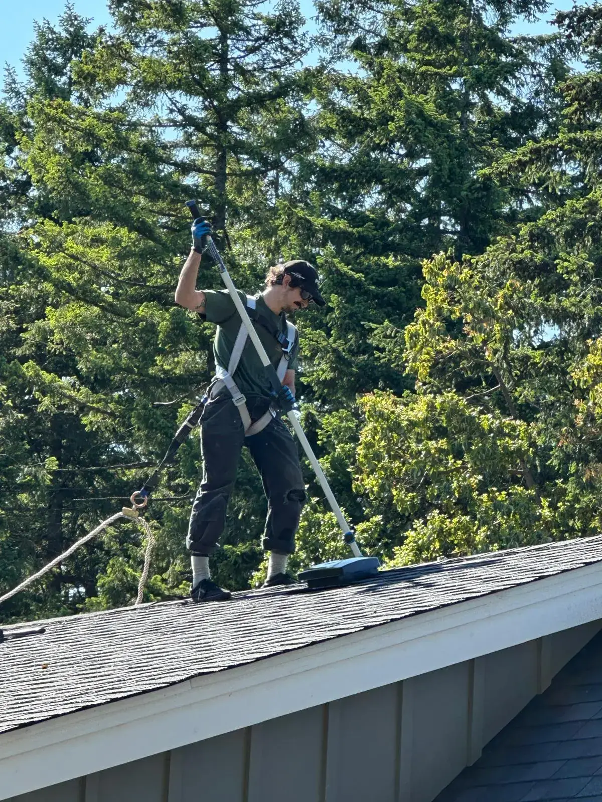 Roof brushing