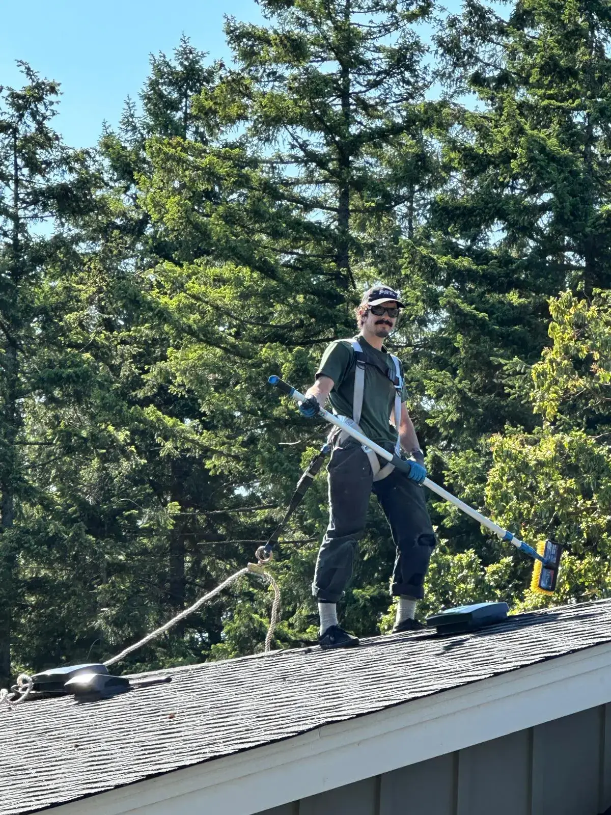 Roof brushing