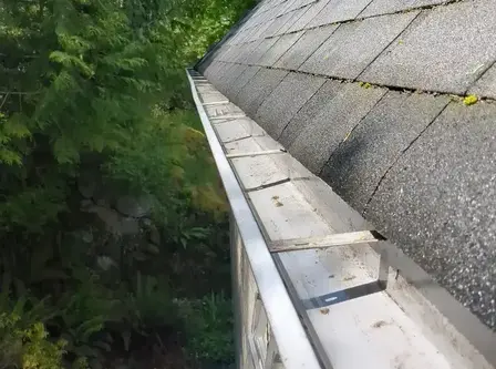 Gutter Cleaning in Greater Victoria.