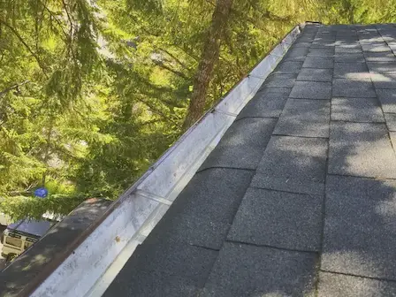Gutter Cleaning Greater Victoria