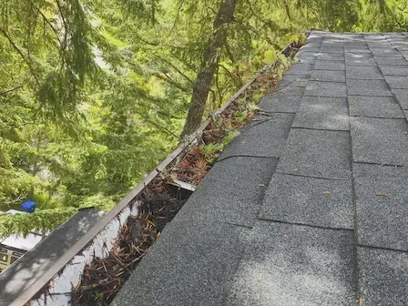 Professional Gutter Cleaning Services in Victoria, BC