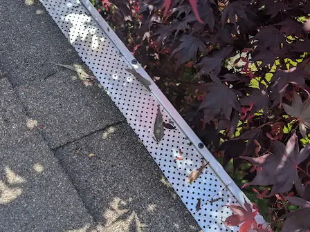 Gutter guard installation services in Victoria, BC