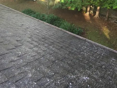 Roof moss after picture