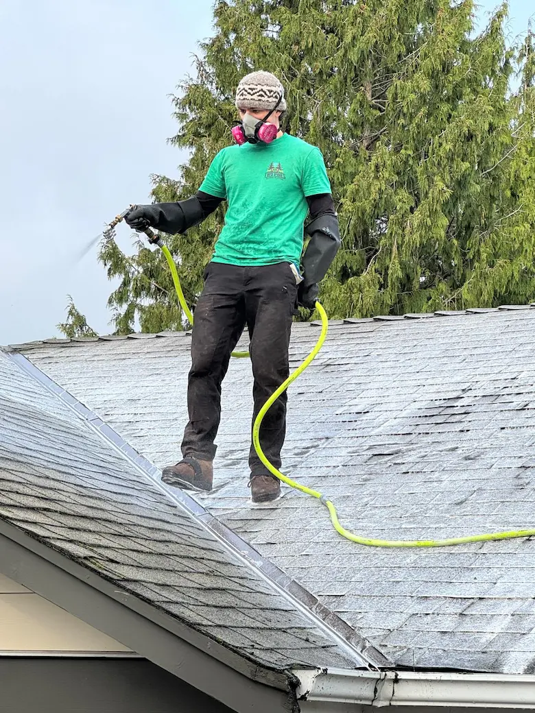 Applying moss killer on a roof moss removal service in Victoria, BC.