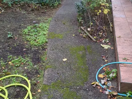 Pressure washing Victoria BC