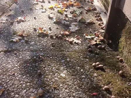 Professional Pressure Washing Services in Victoria, BC