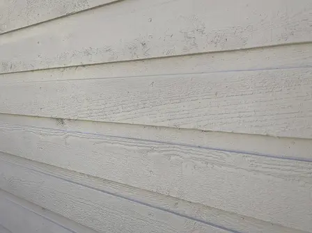 House Washing in Greater Victoria.