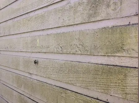 Professional House Washing Services in Victoria, BC