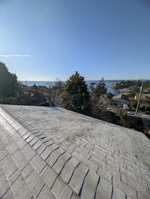 Dirty house siding with algae and mildew growth in Victoria, BC.