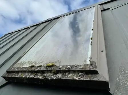 Professional Window Cleaning Services in Victoria, BC