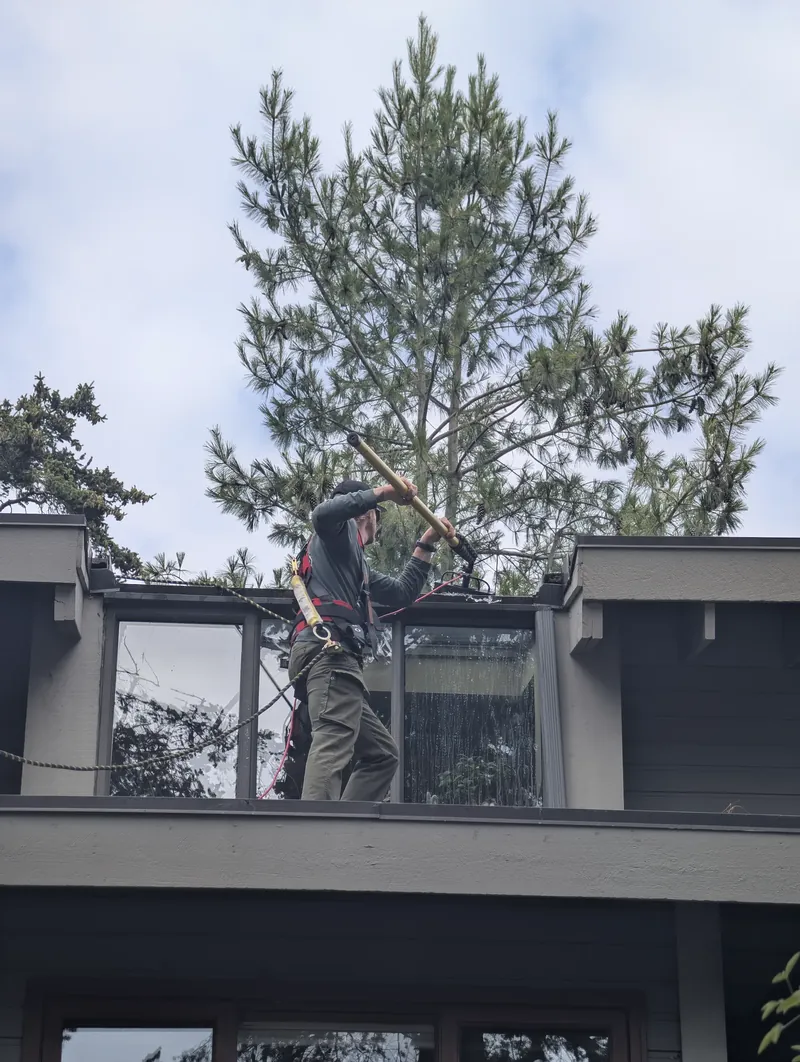 Two Pines technician on a rooftop using a water-fed pole to clean second-storey windows on a Victoria BC home