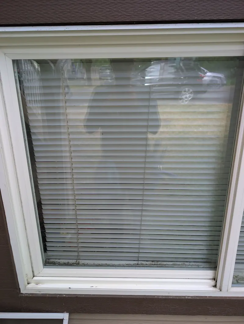 Same basement window frame and track on a Victoria BC home after professional cleaning, buildup removed and glass streak-free