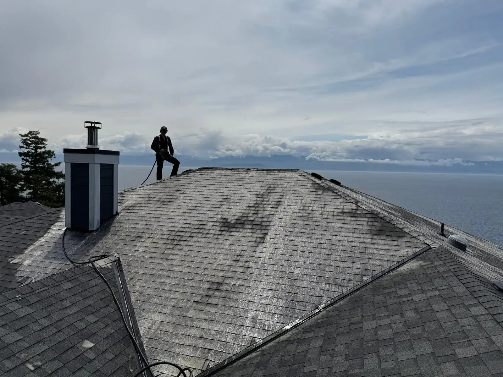 Professional roof washing and moss removal