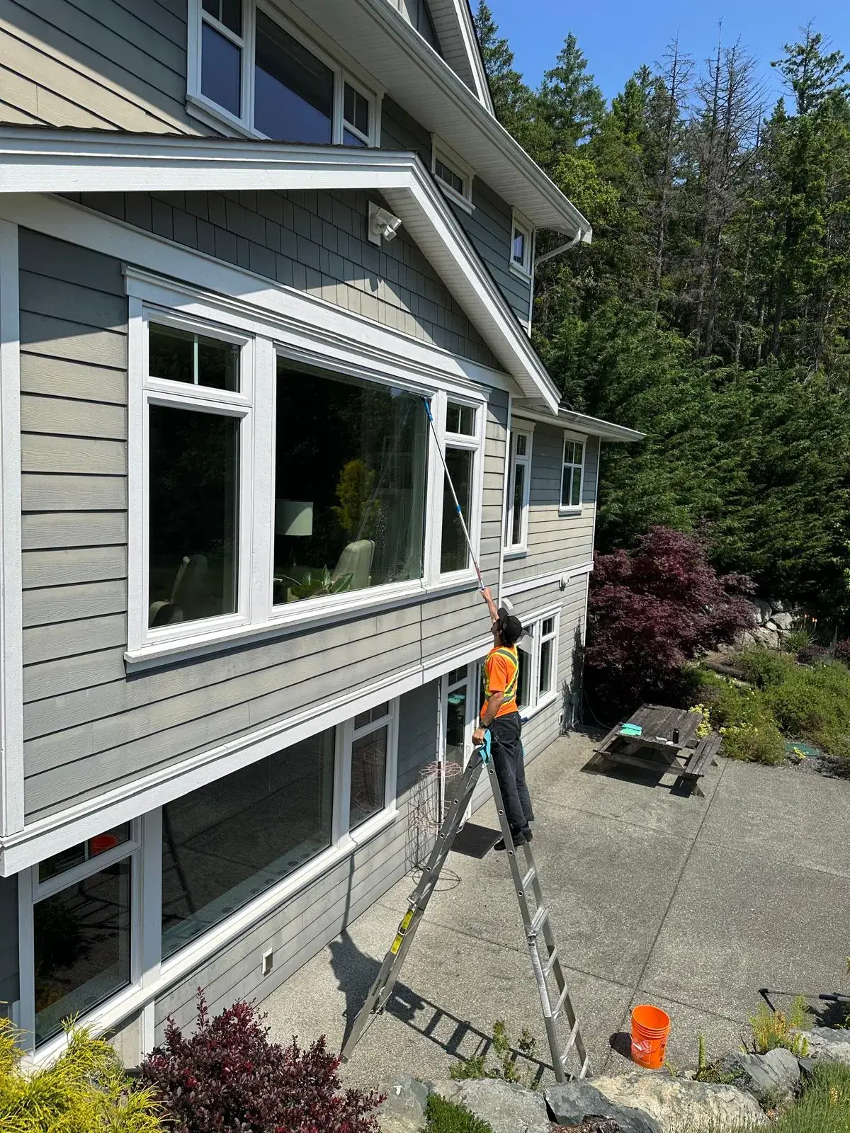 Professional window cleaning service